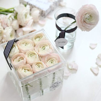 ranunculus, box, flower, boglárka, púder, akril, akrildoboz, átlátszó, doboz, virág, virágtrendek