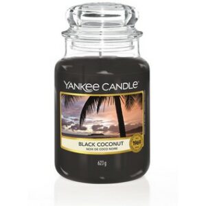 Black Coconut Original Jar Candle