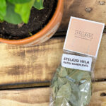 STELÁZSI HELA - egész babérlevél