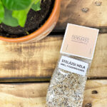 STELÁZSI HELA - grill fűszerkeverék