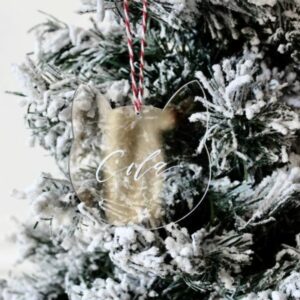 Kedvenc macskád neve a fán