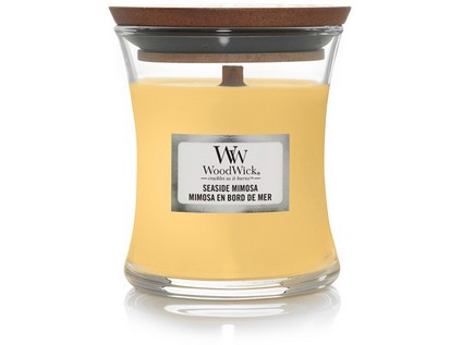 Seaside mimosa Seaside mimosa