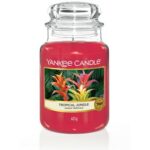 Tropical Jungle Original Jar Candle