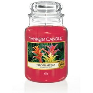 Tropical Jungle Original Jar Candle