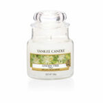 Linden Tree Original Jar Candle