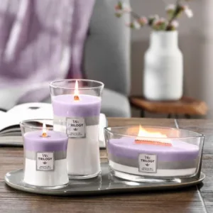 WoodWick Trilogy Amethyst Sky